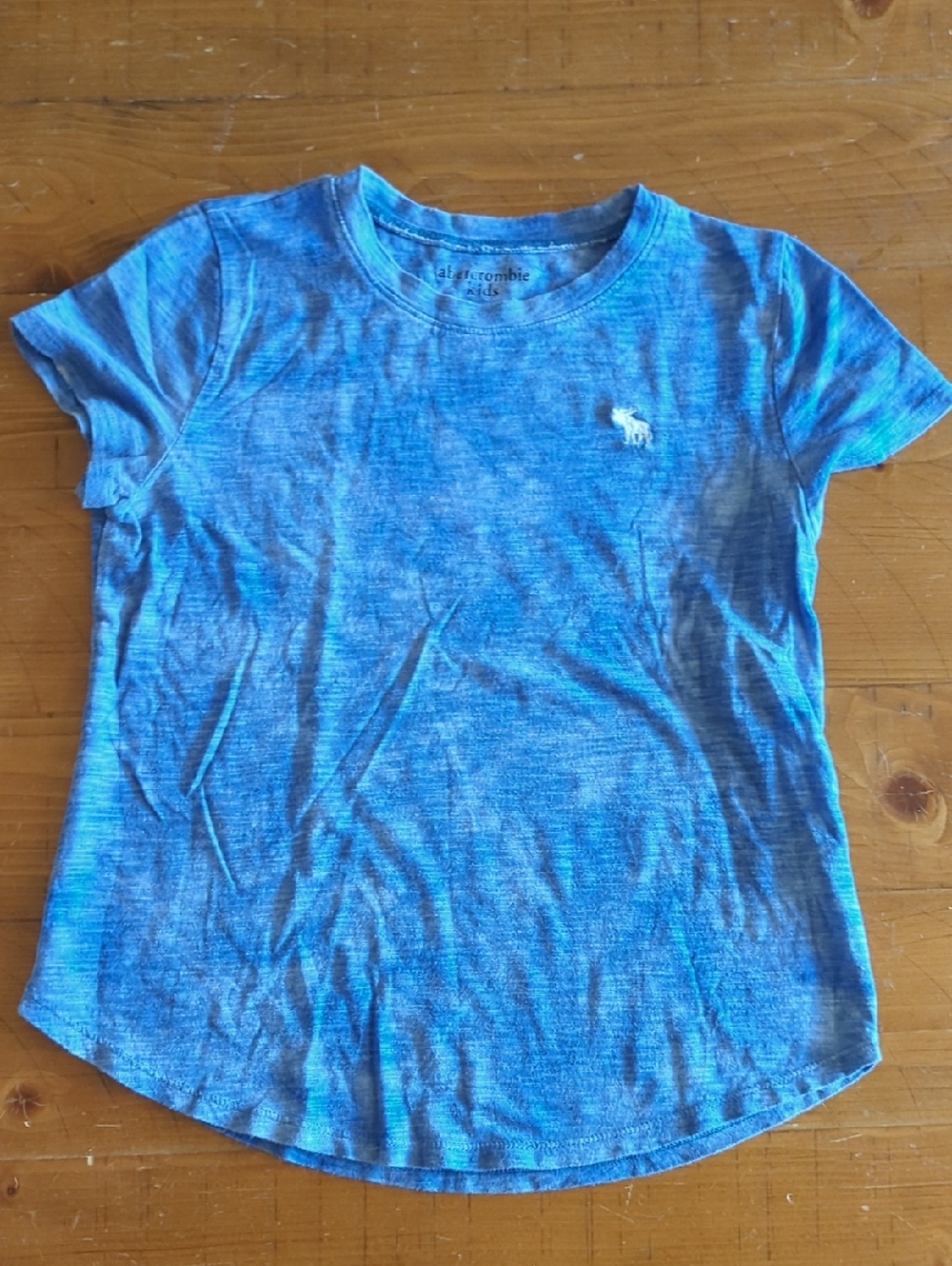 Abercrombie Kids Blue Short Sleeved T-shirt